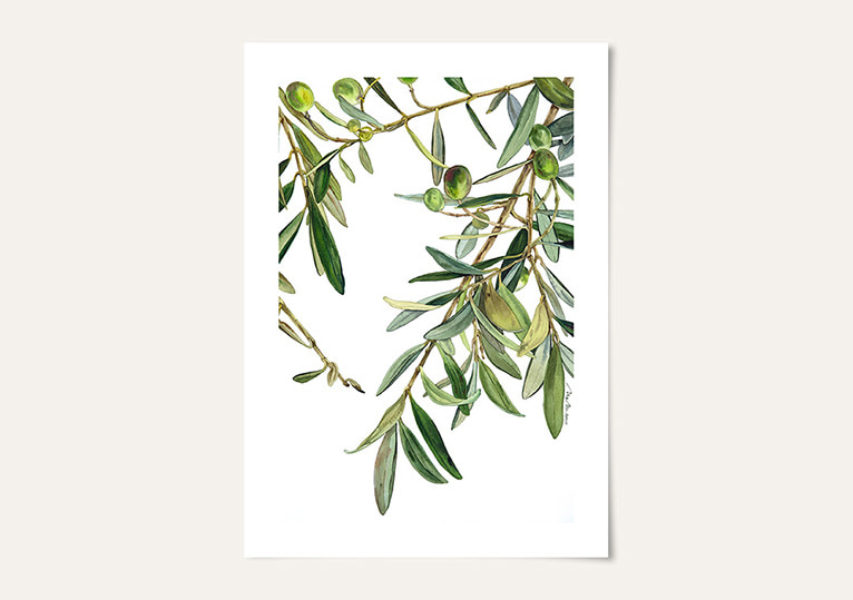 포스터 · Olive tree
